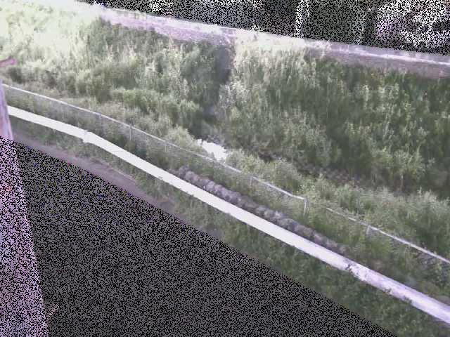 境川 高橋付近のカメラ画像
