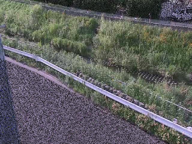高橋付近のカメラ画像