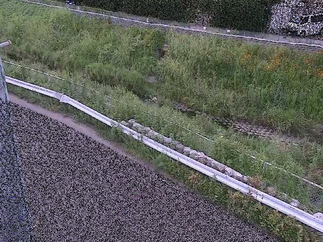 高橋付近のカメラ画像