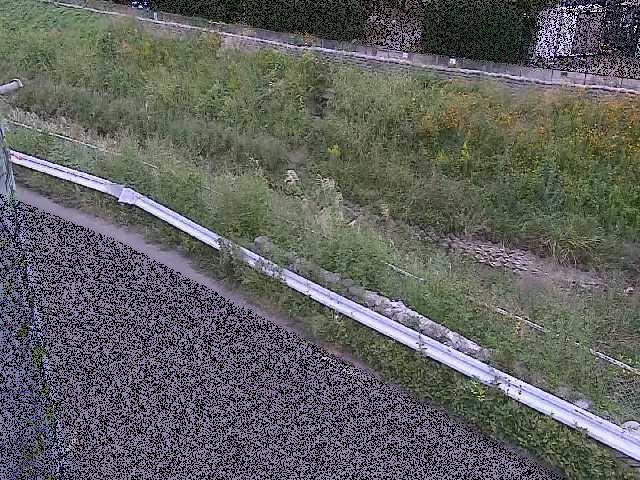 境川 高橋付近のカメラ画像