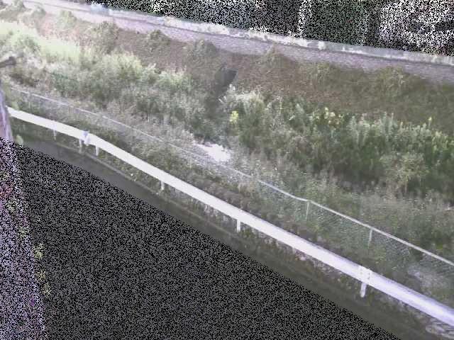 境川 高橋付近のカメラ画像