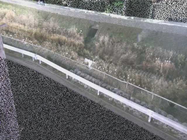 高橋付近のカメラ画像