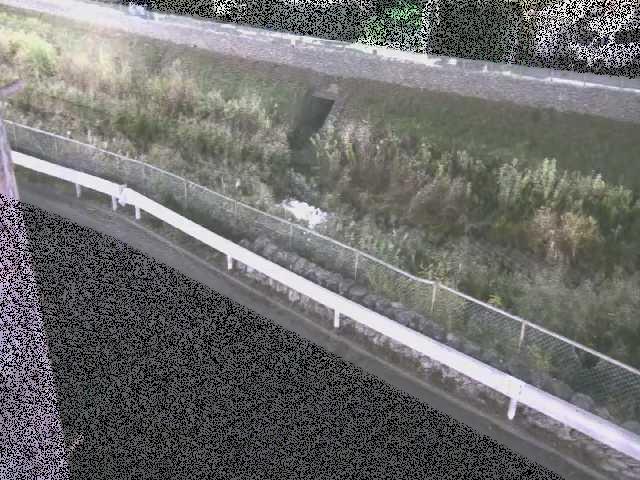 高橋付近のカメラ画像