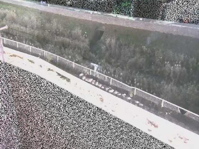 高橋付近のカメラ画像