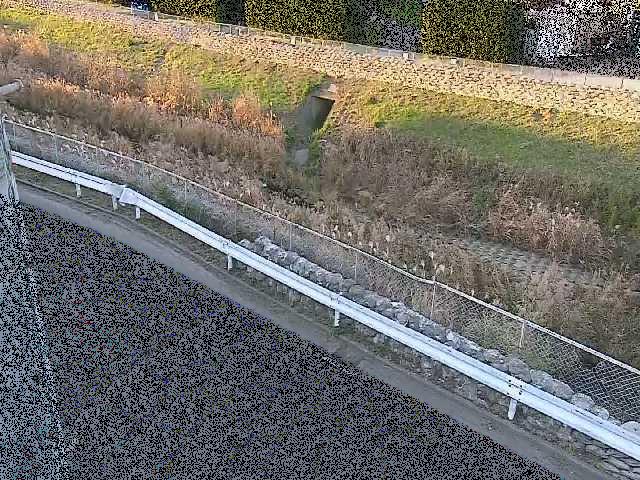 高橋付近のカメラ画像