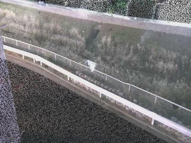 高橋付近のカメラ画像