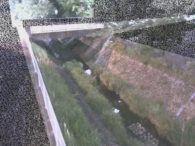 境川 寿橋付近のカメラ画像