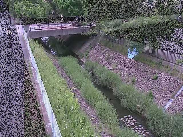 境川 寿橋付近のカメラ画像