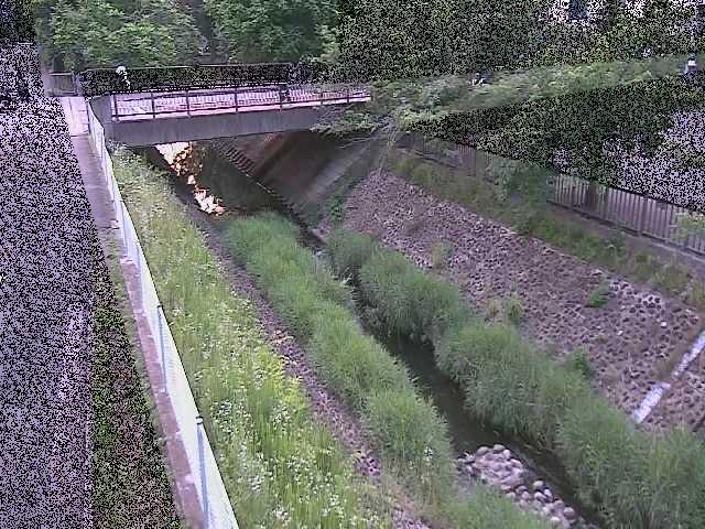 境川 寿橋付近のカメラ画像