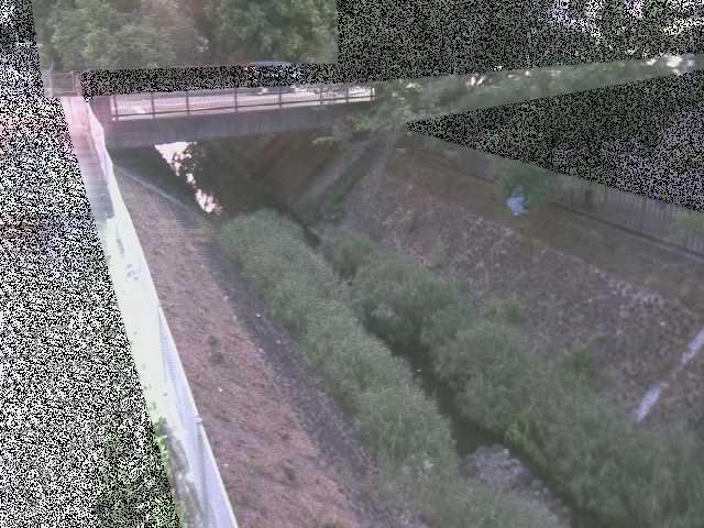 境川 寿橋付近のカメラ画像