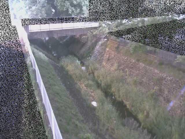 境川 寿橋付近のカメラ画像