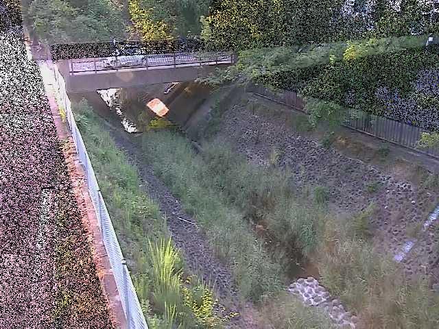 境川 寿橋付近のカメラ画像