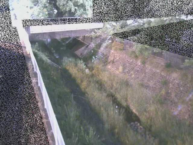 境川 寿橋付近のカメラ画像