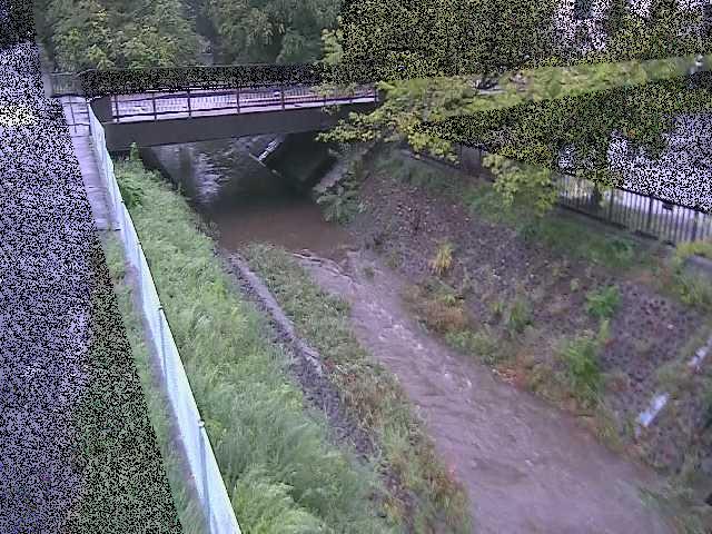 境川 寿橋付近のカメラ画像