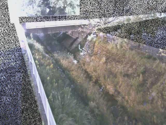 境川 寿橋付近のカメラ画像