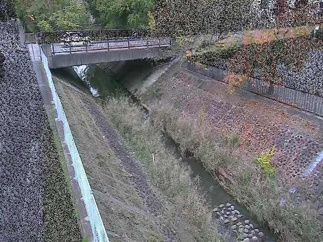 境川 寿橋付近のカメラ画像
