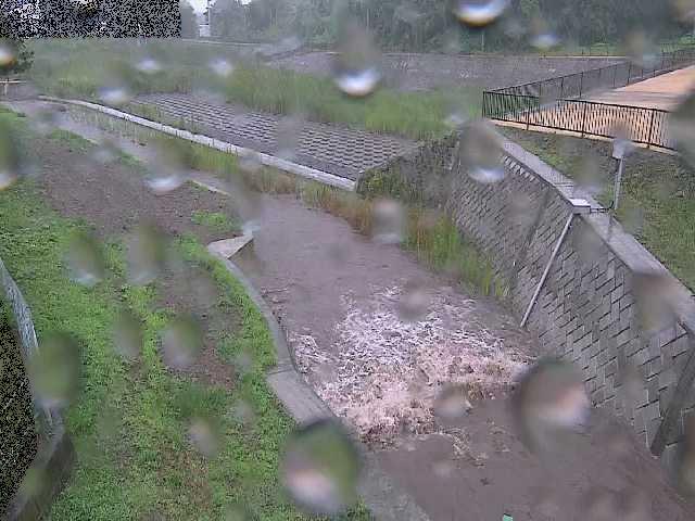 風戸橋付近のカメラ画像