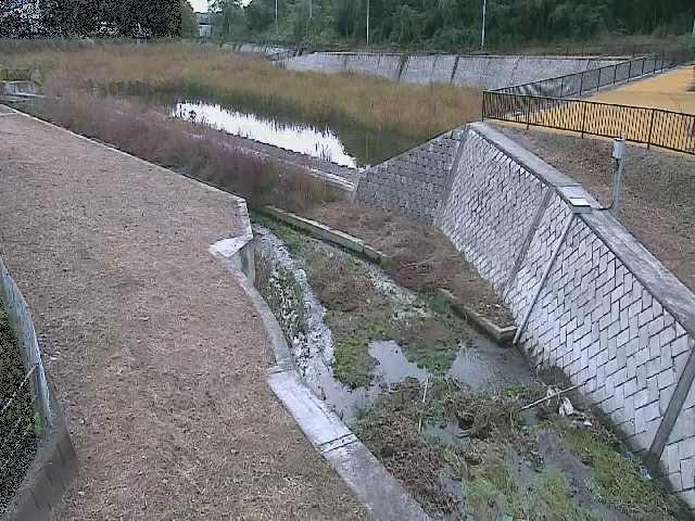 境川 風戸橋付近のカメラ画像