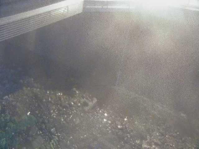 石橋付近のカメラ画像