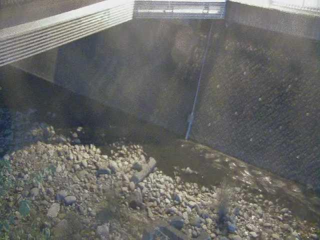 石橋付近のカメラ画像