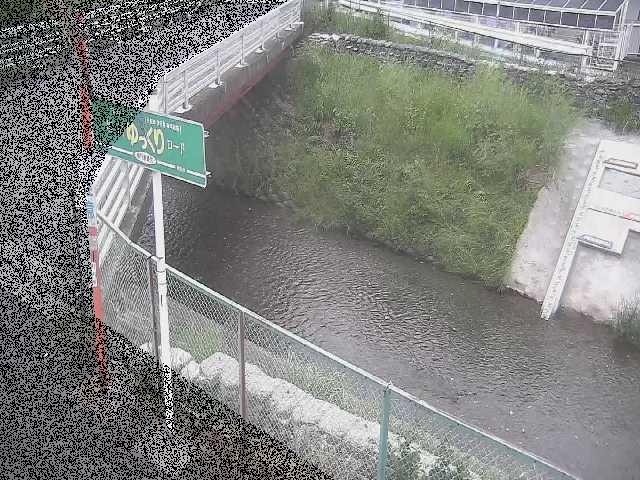 境川 昭和橋付近のカメラ画像