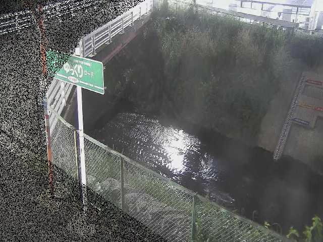 境川 昭和橋付近のカメラ画像