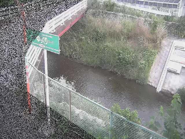 境川 昭和橋付近のカメラ画像