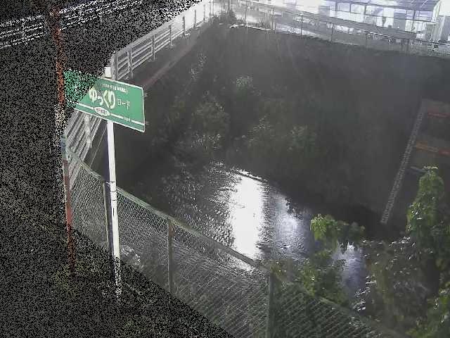 境川 昭和橋付近のカメラ画像