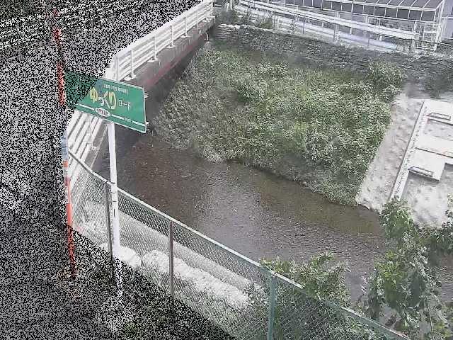 境川 昭和橋付近のカメラ画像