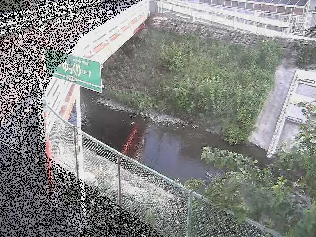 境川 昭和橋付近のカメラ画像