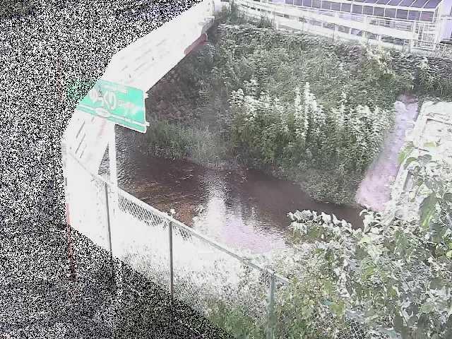 昭和橋付近のカメラ画像