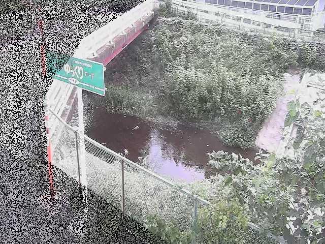 昭和橋付近のカメラ画像