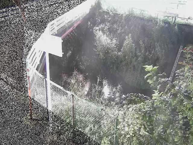 境川 昭和橋付近のカメラ画像