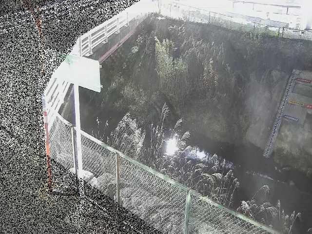 昭和橋付近のカメラ画像