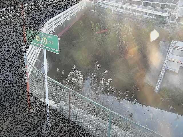 昭和橋付近のカメラ画像