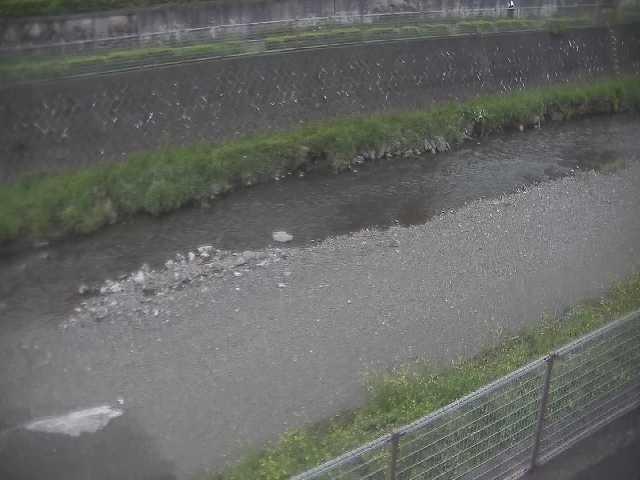 境川 幸延寺橋付近のカメラ画像