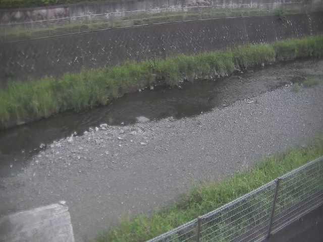境川 幸延寺橋付近のカメラ画像