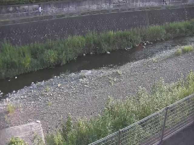 境川 幸延寺橋付近のカメラ画像