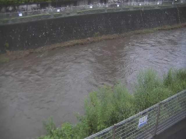 境川 幸延寺橋付近のカメラ画像