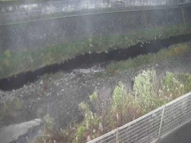 幸延寺橋付近のカメラ画像