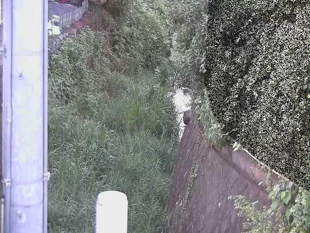 小松川 新町屋橋付近のカメラ画像