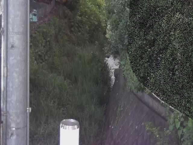 新町屋橋付近のカメラ画像