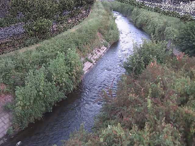 要定川 土堀田橋付近のカメラ画像