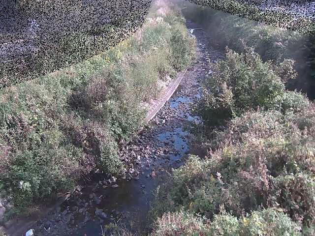 要定川 土堀田橋付近のカメラ画像