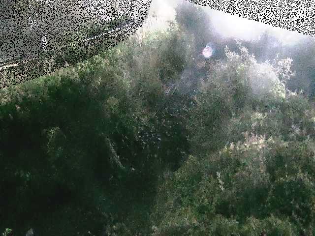 土堀田橋付近のカメラ画像