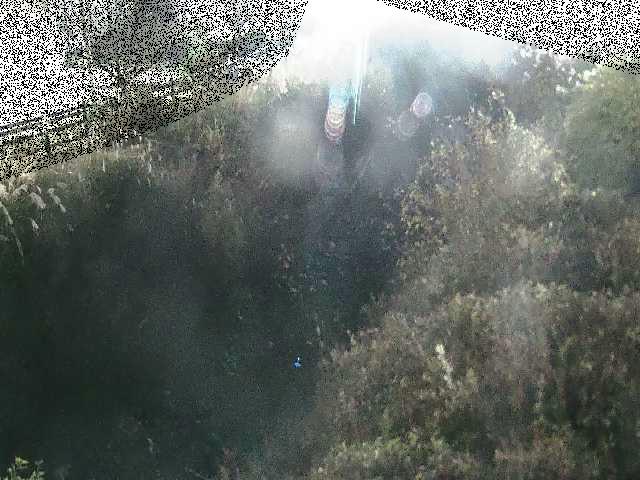 土堀田橋付近のカメラ画像