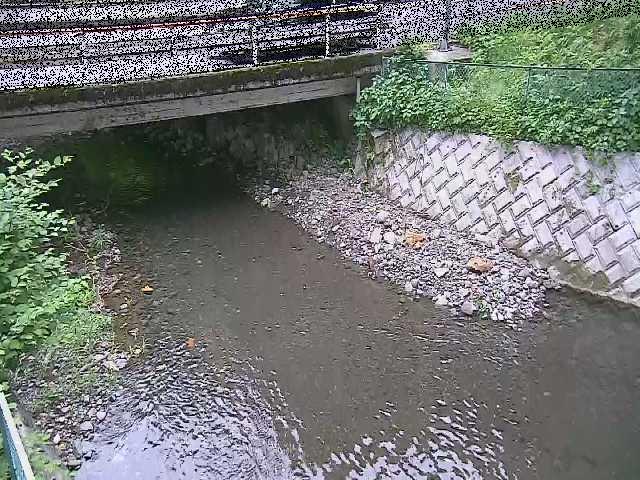 洞川 新下原橋付近のカメラ画像