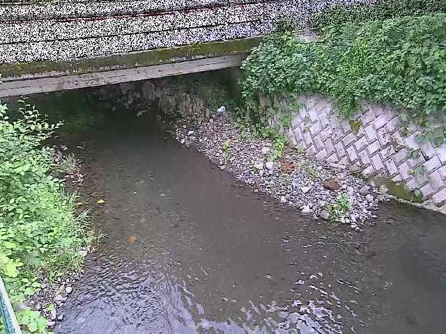 洞川 新下原橋付近のカメラ画像