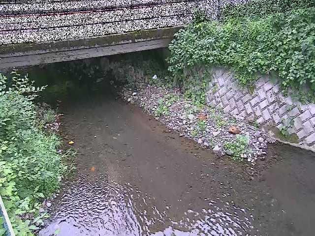 洞川 新下原橋付近のカメラ画像