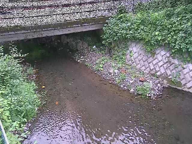 新下原橋付近のカメラ画像